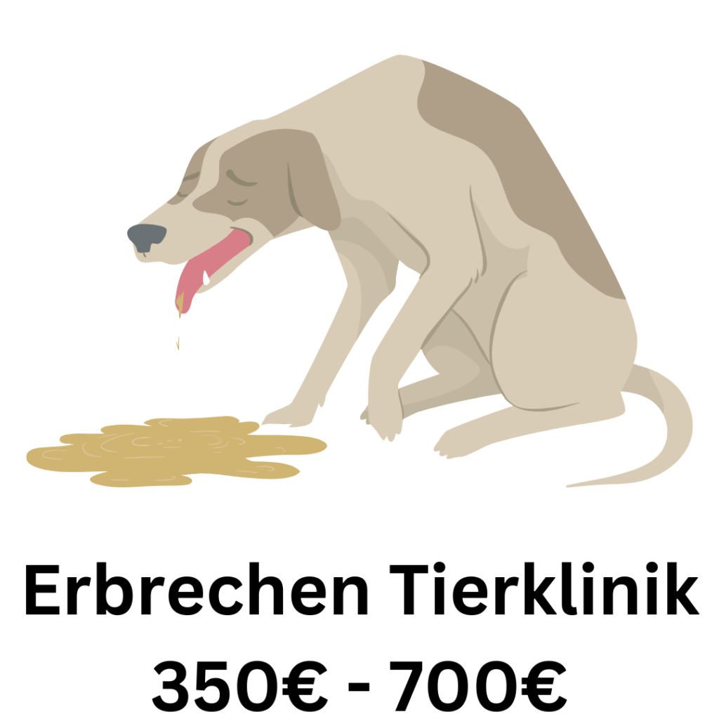 Erbrechen Hund kosten